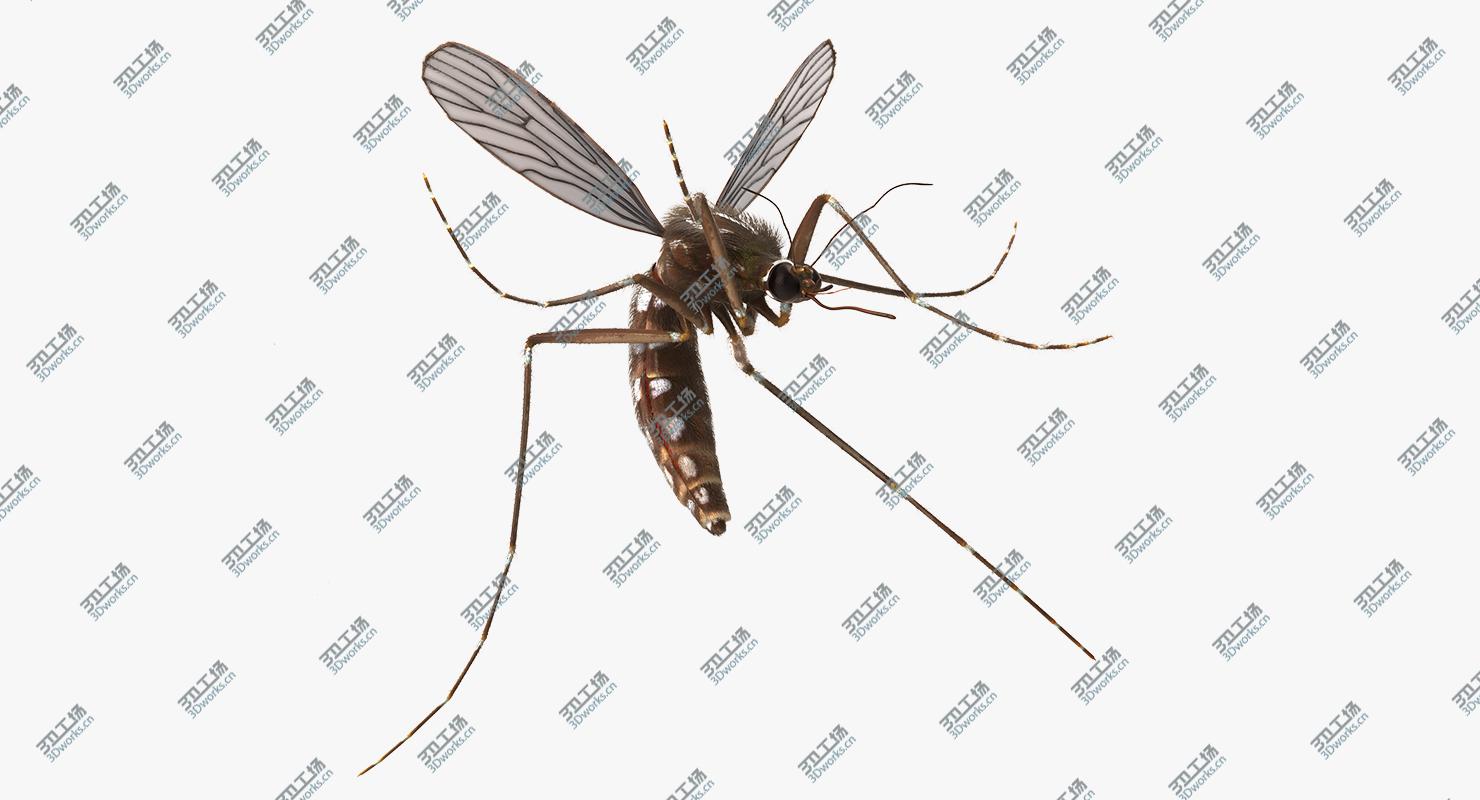 images/goods_img/2021040161/Mosquito Rigged with Fur/2.jpg